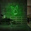 Rabbit Neon Sign NS016