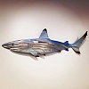 Shark Metal Art  MWA039