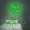 Crazy In Love Neon Sign NS040