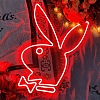 Rabbit Neon Sign NS016