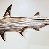 Hammerhead Shark Metal Art MWA041