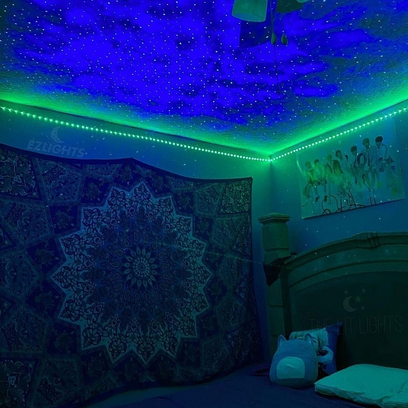 5050 RGB Smart Light Strips with App Control for Room SLS001